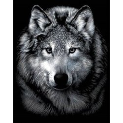 画像1: エッチングアートS（シルバー） 狼 